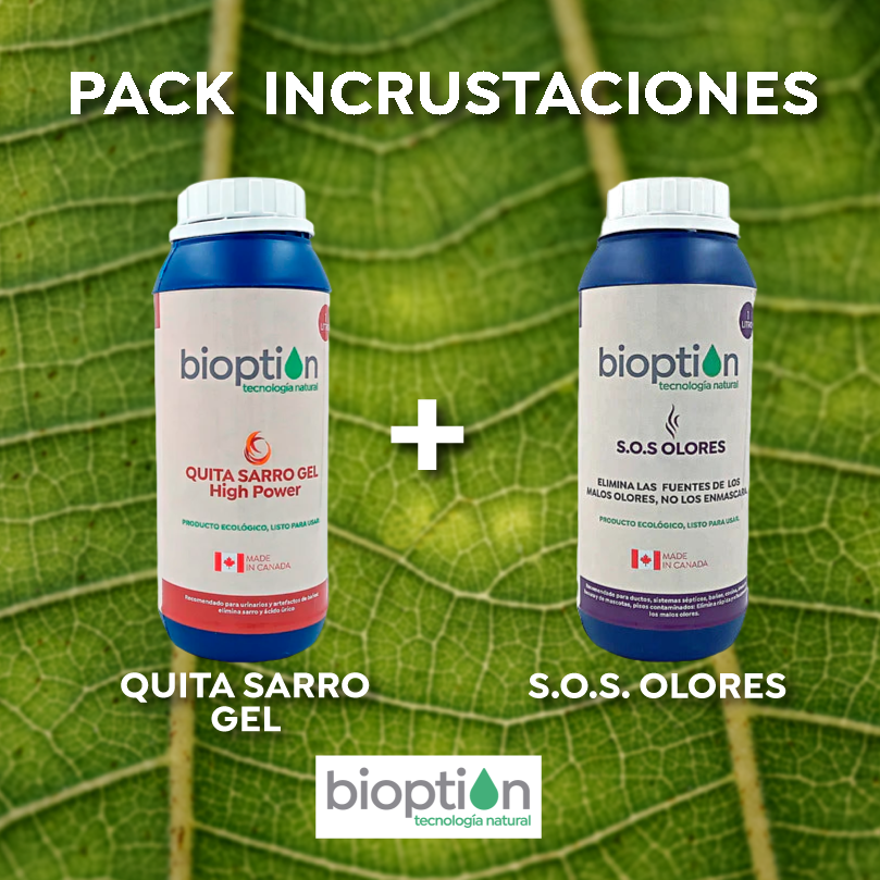 PACK INCRUSTACIONES: 10%  DESCUENTO