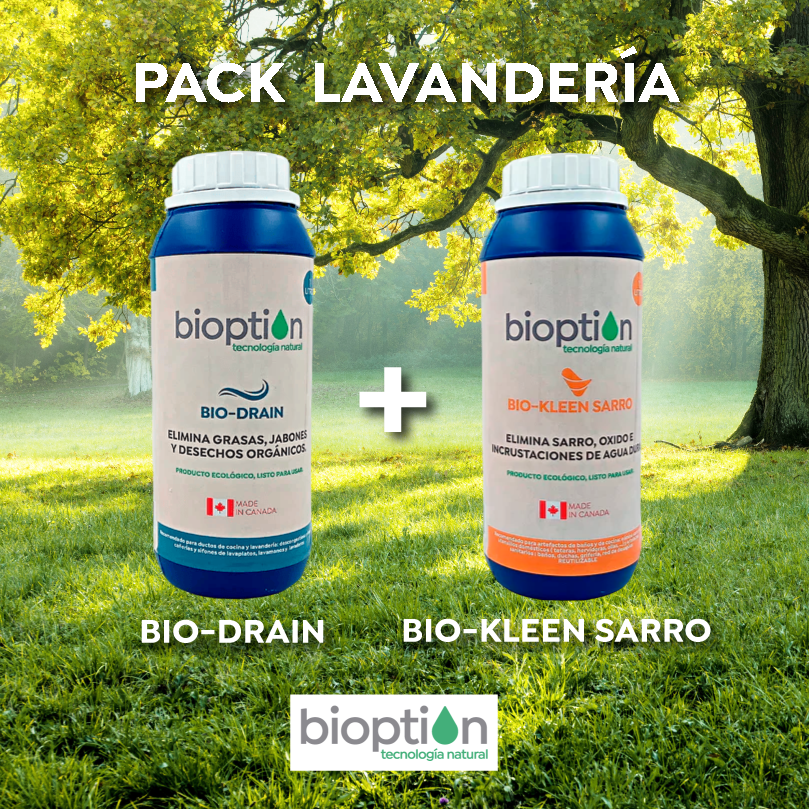 PACK LAVANDERIA: 10% DESCUENTO