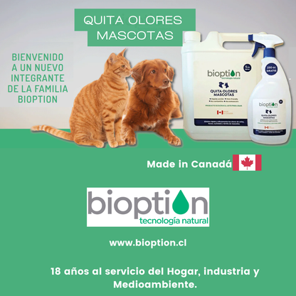 QUITA OLORES MASCOTAS OFERTA DE LANZAMIENTO: SPRAY 750cc + 250cc GRATIS