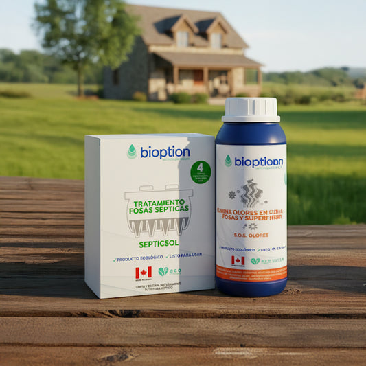 PACK DEL MES : 10% DESCUENTO